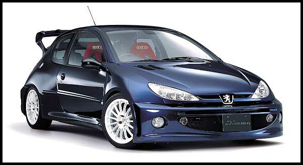 Peugeot 206 wrc Dimma 